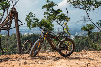 How e-Bikes are Revolutionizing Mountain Biking: A Thrilling Blend of Nature and Technology