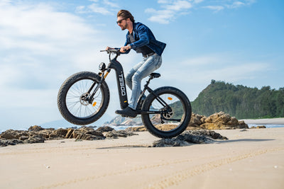Choose your ebike, catch the new trend