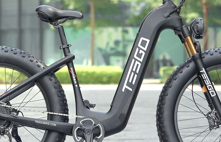 Pioneer 26 Carbon 1000W Fat Tire Electric Bike Tesgo Electric Bikes