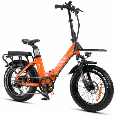 Tesgo Enterprise Tesgo#color_orange