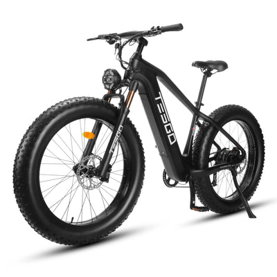 Tesgo Pioneer - Step Over Tesgo
