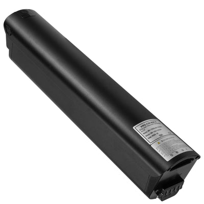 TESGO US Batteries 48V 12Ah Tesway Walker Battery